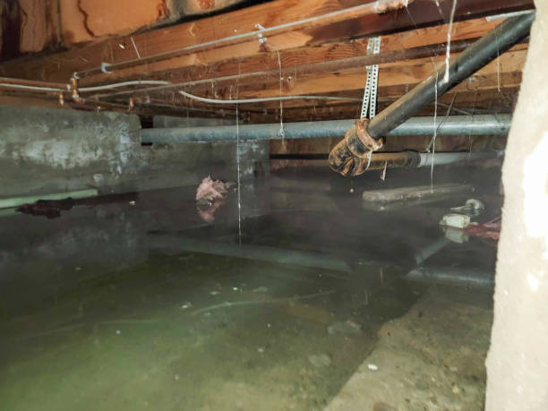 Best Water damage restoration process  in Monterey Park, CA