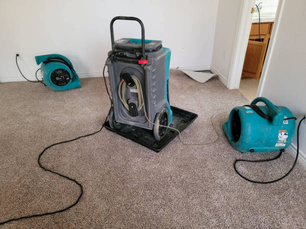 Water damage restoration mold remediation in Monterey Park, CA
