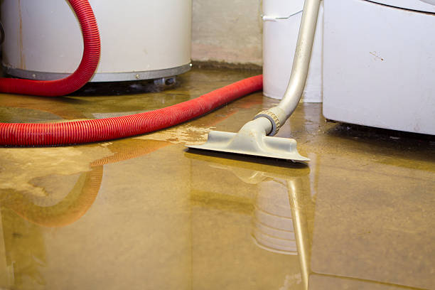 Best Water damage restoration mold remediation  in Monterey Park, CA