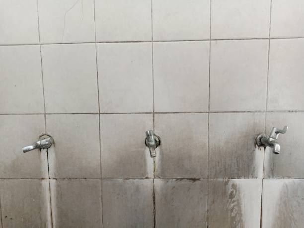 Monterey Park, CA Water damage restoration Pros