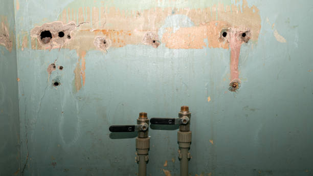 Best Water damage restoration process  in Monterey Park, CA
