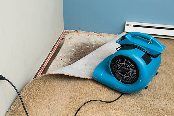 Best Emergency water damage restoration  in Monterey Park, CA